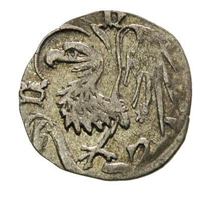 Księstwo Oleśnickie, Konrad VIII 1416-1447, hale