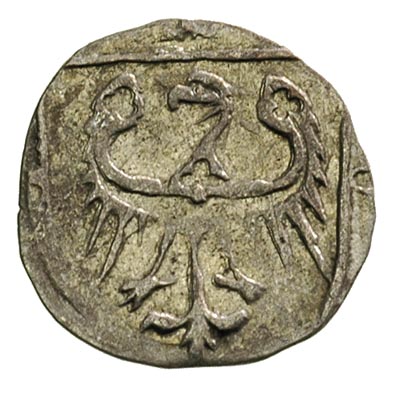 Księstwo Oleśnickie, Konrad VIII 1416-1447, hale