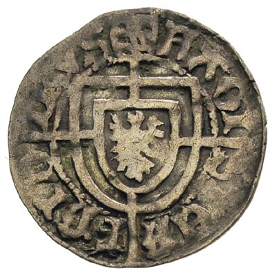 Fryderyk Saski 1498-1510, grosz, Aw: Tarcza wiel