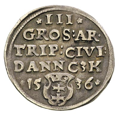 trojak 1536, Gdańsk, na awersie końcówka napisu PRVSSI, Iger G.36.2.j, patyna