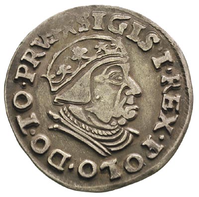 trojak 1539, Gdańsk, na awersie końcówka napisu PRVS, Iger G.39.1.e, ładna stara patyna, piękny egzemplarz