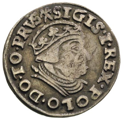 trojak 1539, Gdańsk, na awersie końcówka napisu PRVS, awers Iger G.39.1.e, rewers Iger G.39.1.c, ciemna patyna