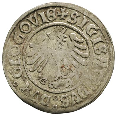 grosz 1506, Głogów, Fbg. 296, moneta królewicza Zygmunta jako księcia głogowskiego, dość ładna z blaskiem menniczym na dużej powierzchni
