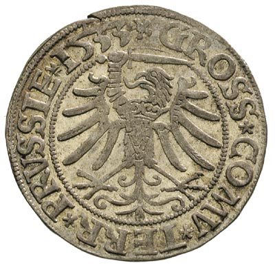 grosz 1533, Toruń, bardzo ładny