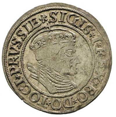 grosz 1534, Toruń, odmiana popiersia - na głowie