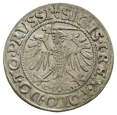grosz 1539, Elbląg, ładny
