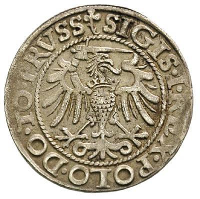 grosz 1540, Elbląg, na awersie końcówka napisu P