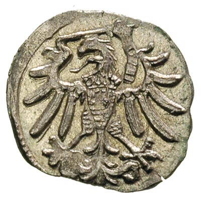 denar 1546, Gdańsk, T.8, rzadki i bardzo ładnie zachowany
