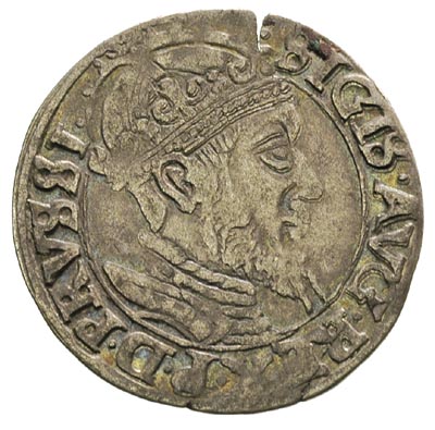 grosz 1556, Gdańsk, odmiana z dużą głową króla, T.4, nieco pęknięty krążek, rzadki, ciemna patyna