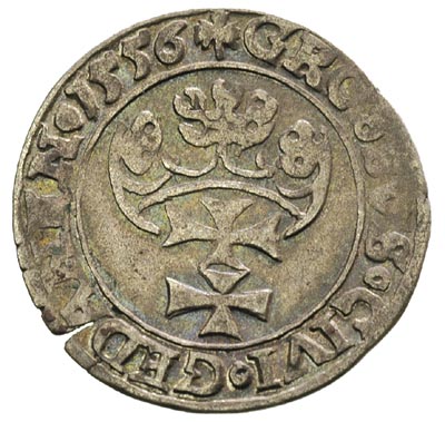 grosz 1556, Gdańsk, odmiana z dużą głową króla, T.4, nieco pęknięty krążek, rzadki, ciemna patyna