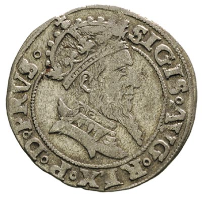 grosz 1556, Gdańsk, odmiana z małą głową króla, T.4, rzadki