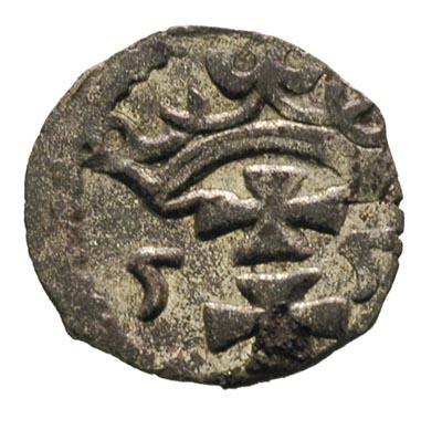 denar 1555, Gdańsk, T.8, rzadki, patyna