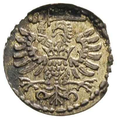 denar 1594, Gdańsk, patyna