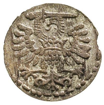 denar 1595, Gdańsk, ładnie zachowany