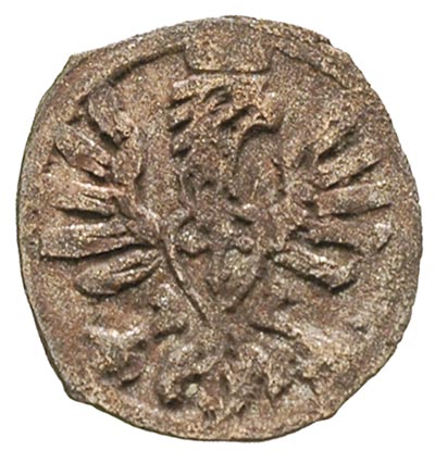 denar 1607, Poznań, T.5, centrycznie wybity, rzadki