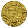 Zygmunt Luksemburczyk 1387-1437, goldgulden, Aw: Czteropolowa tarcza herbowa, Rw: Król stojący na ..