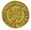 Ładysław V 1453-1457, goldgulden, Aw: Czteropolowa tarcza herbowa, Rw: Król stojący na wprost z mi..