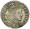 trojak 1588, Ryga, małe popiersie króla, Iger R.88.1.a, Gerbaszewski 2, rzadki, delikatna patyna