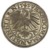 grosz 1545, Legnica, F.u.S. 1370, bardzo ładny, duży blask menniczy