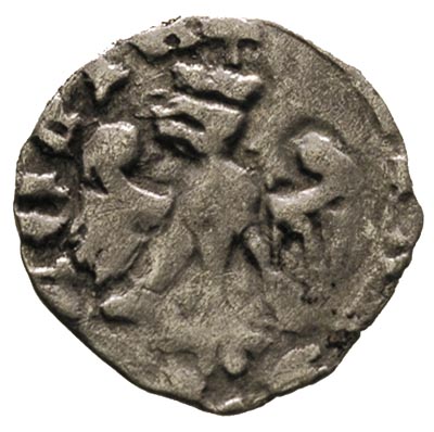 Kazimierz Wielki 1333-1370, denar, Poznań, Aw: O