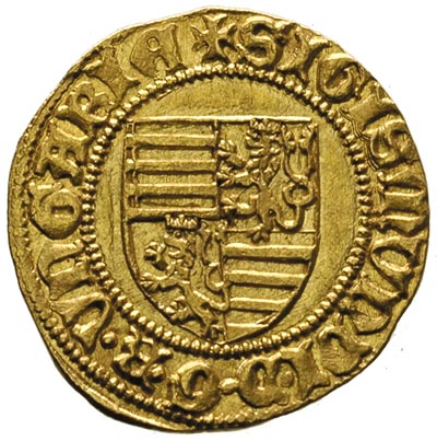 Zygmunt 1387-1437, goldgulden 1404-1405, Offenba