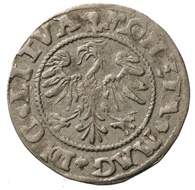 półgrosz 1545, Wilno, odmiana z imieniem króla p