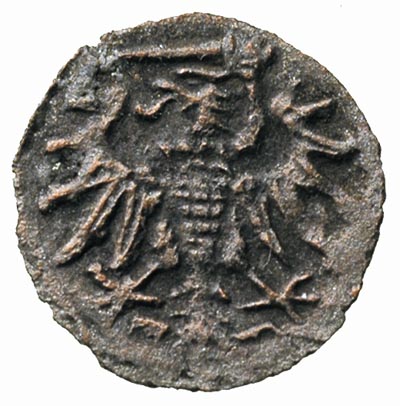 denar 1550, Gdańsk, T. 12, rzadki, ciemna patyna