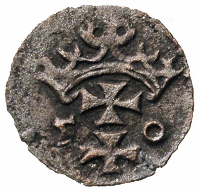 denar 1550, Gdańsk, T. 12, rzadki, ciemna patyna