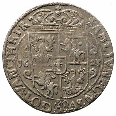 ort 1623, Bydgoszcz, szeroka głowa króla, w koronie nad tarczą herbową dwie rozetki
