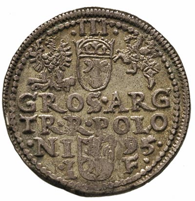trojak 1595, Olkusz, Iger O.95.4.d, ładnie zacho