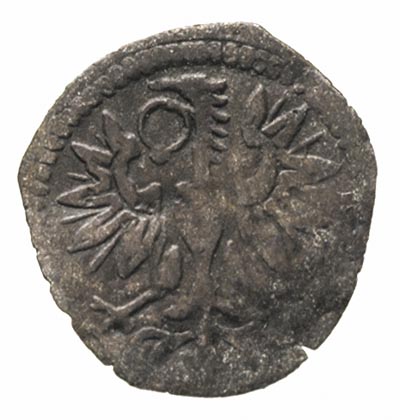 denar 1591, Wschowa, H-Cz. 847 R3, T. 20, bardzo