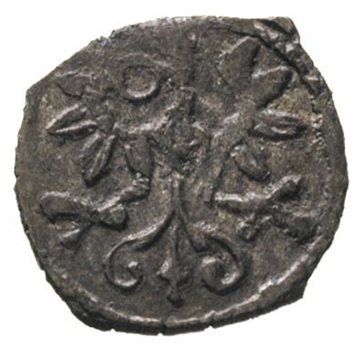 denar 1603, Wschowa, odmiana ze skróconą datą 0 - 3, H-Cz. 1196 R6, T.30, bardzo rzadki i pięknie zachowany, patyna