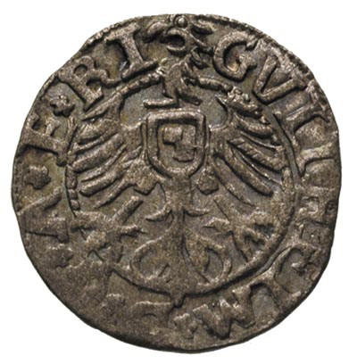 Wilhelm margrabia brandenburski 1539-1563, szeląg 1563, Ryga, Fed. 394, Neumann 361, patyna