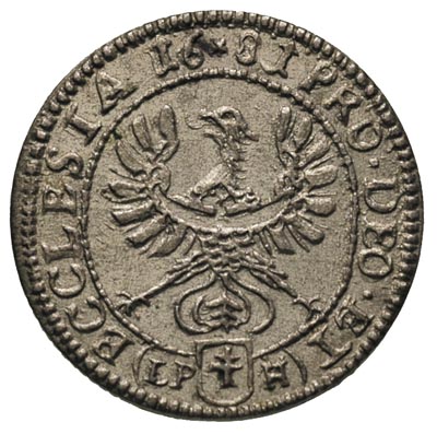 krajcar 1681, Nysa, litery LP-H pod Orłem, F.u.S