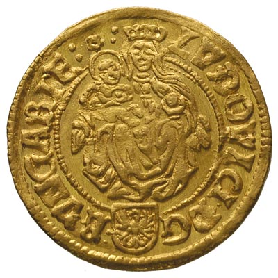 Ludwik II Jagiellończyk 1515-1526, goldgulden 15