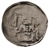 Barnim I Pobożny 1264-1278, denar, Aw: Popiersie