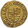Zygmunt 1387-1437, goldgulden 1404-1405, Offenbanya, Aw: Tarcza herbowa i napis wokoło SIGISMVNDI ..