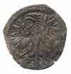 denar 1591, Wschowa, H-Cz. 847 R3, T. 20, bardzo rzadki, patyna