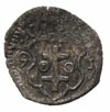 denar 1591, Wschowa, H-Cz. 847 R3, T. 20, bardzo rzadki, patyna