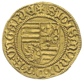 Zygmunt I 1387-1437, goldgulden 1428-1429, Krzem