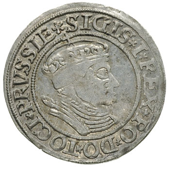 grosz 1534, Toruń, drobna wada blachy