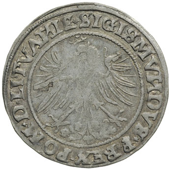 grosz 1535, Wilno, odmiana bez litery pod Pogonią, Ivanauskas 2S5-2, T. 7, bardzo ładny