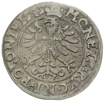 grosz 1545, Kraków, korona wąska i wysoka, bardzo ładny, patyna