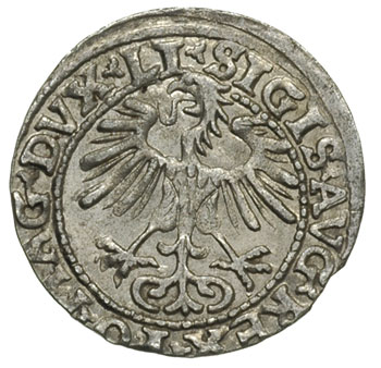 półgrosz 1554, Wilno, Ivanauskas 4SA51-16, T. 12