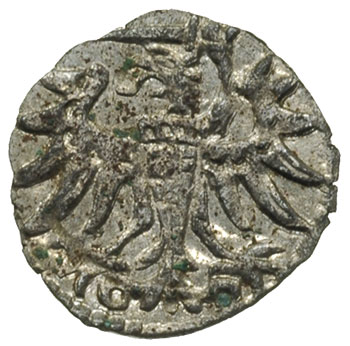 denar 1551, Gdańsk, H-Cz. 7134 R6, T. 25, bardzo