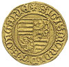Zygmunt I 1387-1437, goldgulden 1428-1429, Krzemnica, Aw: Tarcza herbowa i napis wokoło SIGISMVNDI..