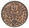 1 grosz 1931, Warszawa, Parchimowicz 101.f, piękny egzemplarz