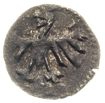 Jagiellonowie, denary koronne XV w, 1 sztuka Jan