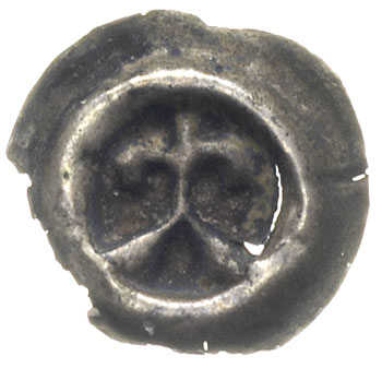 Świętopełk II Wielki 1219-1266, brakteat, Lilia 