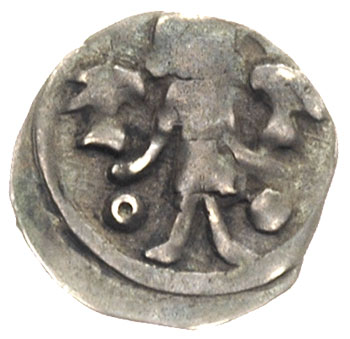 Barnim I 1220-1278, denar po 1264, mennica nieustalona, Aw: Stojący książę trzymający w rękach dwie głowy gryfów, poniżej w polu kulki, Rw: Krzyż ozdobny dwunitkowy, 0.41 g, Dbg 67